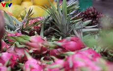 Xử phạt thương lái Trung Quốc thu mua thanh long trái phép