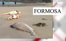 Giá thép lao dốc, Formosa tồn tại bằng cách xả thải vào môi trường Việt Nam?