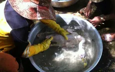 Trà Vinh xử phạt cơ sở giết mổ gia cầm