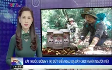 Thêm nhiều hình ảnh bản tin Thời sự VTV bị chỉnh sửa để lừa đảo