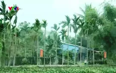 Đổi thay tích cực trong đời sống đồng bào Công giáo Đà Nẵng