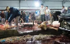 Khánh Hòa: Khu giết mổ gia súc, gia cầm tập trung 15 năm vẫn chưa xong