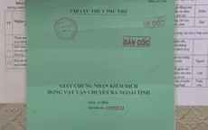 Quản lý hoạt động kiểm dịch thú y ở Phú Thọ: Chỉ giám sát trên giấy