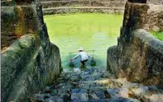 Bản quyền nhiếp ảnh, mỹ thuật: Kêu mãi cũng... chán