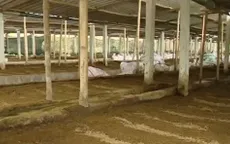 Khởi nghiệp từ mô hình nuôi giun quế giúp bảo vệ môi trường