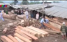 Đăk Nông đình chỉ công tác 4 cán bộ kiểm lâm trong vụ DN cất giấu gỗ lậu
