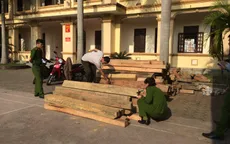 Quảng Trị: Phát hiện vụ vận chuyển 1,7 m3 gỗ hương lậu