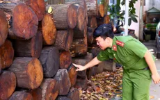 Bình Dương: Xử phạt đối tượng vận chuyển 301 khúc gỗ quý hiếm