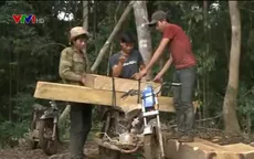 Kon Tum: Đã xác minh đối tượng phá rừng và vận chuyển gỗ trái phép