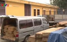 Phú Yên: Nổ súng khống chế xe chở gỗ lậu