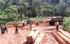 "Nóng" tình trạng vận chuyển gỗ trái phép ở miền Trung