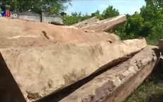 Quảng Trị tích cực điều tra vụ phá rừng đầu nguồn Bến Hải