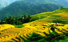 Việt Nam đang trở thành điểm đến hấp dẫn đối với du khách Mỹ