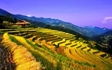 Ruộng bậc thang - Điểm đến hấp dẫn ở Hà Giang