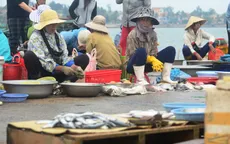 Niêm yết công khai các loại hải sản chưa an toàn