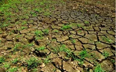 “Hạn hán ở miền Trung Nam Bộ là hiện tượng đã được báo trước”