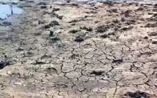 Hơn 10.000 ha đất lúa ở Khánh Hòa bị bỏ hoang
