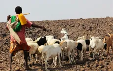 Hạn hán nghiêm trọng nhất trong nửa thế kỷ tại Ethiopia