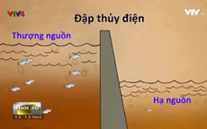 Nguyên nhân nào khiến dòng sông Mekong suy thoái?