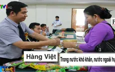 “Bão” hàng hóa từ ASEAN đổ bộ, nhiều DN Việt điêu đứng