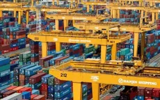 Hãng tàu Hanjin phá sản để lại hơn 4.000 container tại cảng Việt Nam