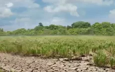 Tây Nguyên: Người dân vẫn lao đao vì hạn