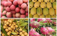 Xuất khẩu rau quả Việt Nam lên ngôi