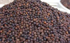 Tây Ban Nha cảnh báo chất lượng hạt tiêu đen của Việt Nam