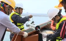 Thành lập hội đồng cấp quốc gia tìm nguyên nhân hải sản chết