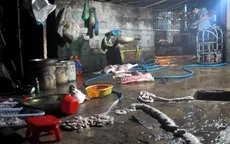 Bắt quả tang 3 cơ sở giết mổ heo lậu tại Đồng Nai
