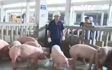 Heo VietGap tại Đồng Nai bị mạo danh