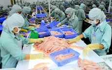DN xuất khẩu cá tra hưởng lợi lớn từ FTA Việt Nam - EAEU