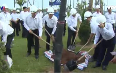 Hà Nội trồng mới 1 triệu cây xanh