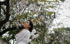 Giới trẻ Hà thành háo hức chụp ảnh hoa ban