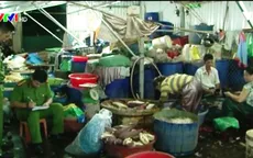 Huế: Phát hiện 4 cơ sở sử dụng chất tẩy trắng bắp chuối và mít non