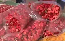 Nông dân TP.HCM thu nhập tiền tỉ từ giống hoa ngoại