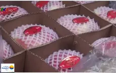 Bắt gần 2,6 tấn hoa quả xuất xứ Trung Quốc tại Nghệ An