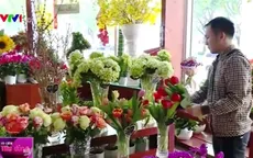 Hoa nhập ngoại "hút khách" dịp Tết tại TP.HCM