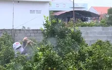 Ô nhiễm do thuốc bảo vệ thực vật từ vùng trồng hoa Tết Phú Yên