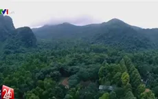 Ngang nhiên đặt bẫy động vật hoang dã trong rừng Pù Mát