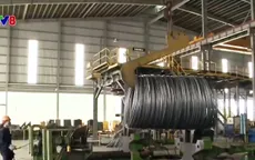 Thờ ơ thông tin - Điểm yếu của doanh nghiệp Việt thời hội nhập