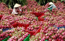 Thách thức nông sản đặc hữu thời hội nhập (17h20, VTV1)