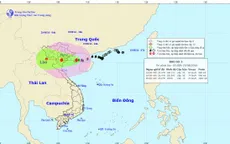 Bão số 3 ảnh hưởng trực tiếp đến vùng Đông Bắc Bộ và Bắc Trung Bộ