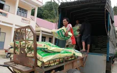 Cấp phát 400 tấn lúa giống cho Ninh Thuận sau lũ