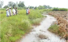 Cà Mau: Khô hạn ảnh hưởng nghiêm trọng tới đời sống người dân