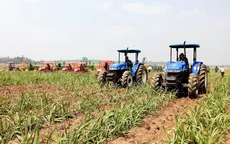 Gia Lai đưa cơ giới hóa vào phát triển nguyên liệu mía