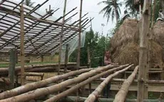 Hiệu quả mô hình trồng hoa trên giàn vượt lũ tại TT-Huế