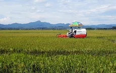 Xây dựng thương hiệu lúa gạo miền Trung