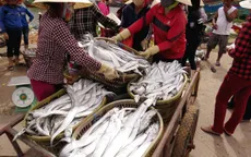 Nông dân Quảng Bình nỗ lực vượt khó (17h20, VTV1)