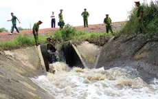 Xử lý nghiêm mọi vi phạm về môi trường